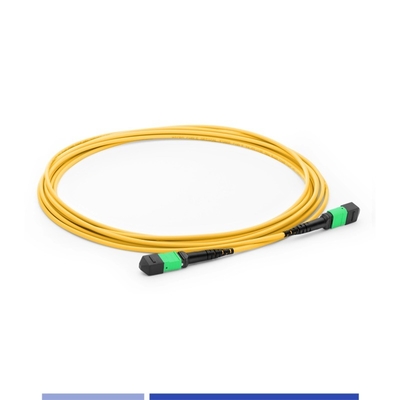 ซื้อ 12 Core MTP® ไฟเบอร์ออปติก Patch Cord หญิง SingleMode G652D 10m ไฟเบอร์ปาทช์เคเบิล OFNP ประเภท B การผลิตออนไลน์
