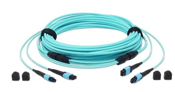 ซื้อ 24 สายไฟเบอร์ OM3 MTP® สายไฟเบอร์ออปติค สายไฟเบอร์ออปติค สายไฟเบอร์ออปติค สายไฟเบอร์ออปติค สายไฟเบอร์ออปติค สายไฟเบอร์ออปติค สายไฟเบอร์ออปติค สายไฟเบอร์ออปติค สายไฟเบอร์ออปติค สายไฟเบอร์ออปติค สายไฟเบอร์ออปติค สายไฟเบอร์ออปติค สายไฟเบอร์ออปติค สายไฟเบอร์ออปติค สายไฟเบอร์ออปติค สายไฟเบอร์ออปติก สายไฟเบอร์อปติก สายไฟเบอร์อปติก สายไฟเบอร์อปติก สายไฟเบอร์อปติก สายไฟเบอร์อปติก การผลิตออนไลน์